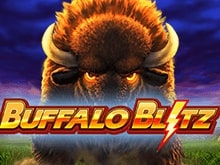 BUFFALO BLITZ